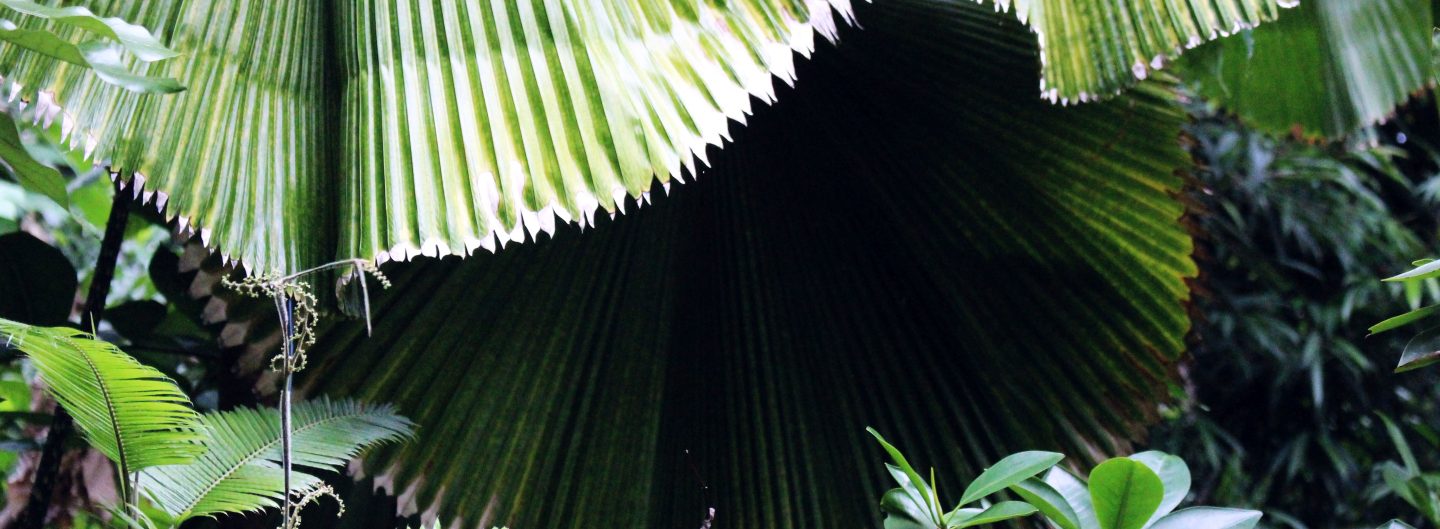 Evergreenstories.de